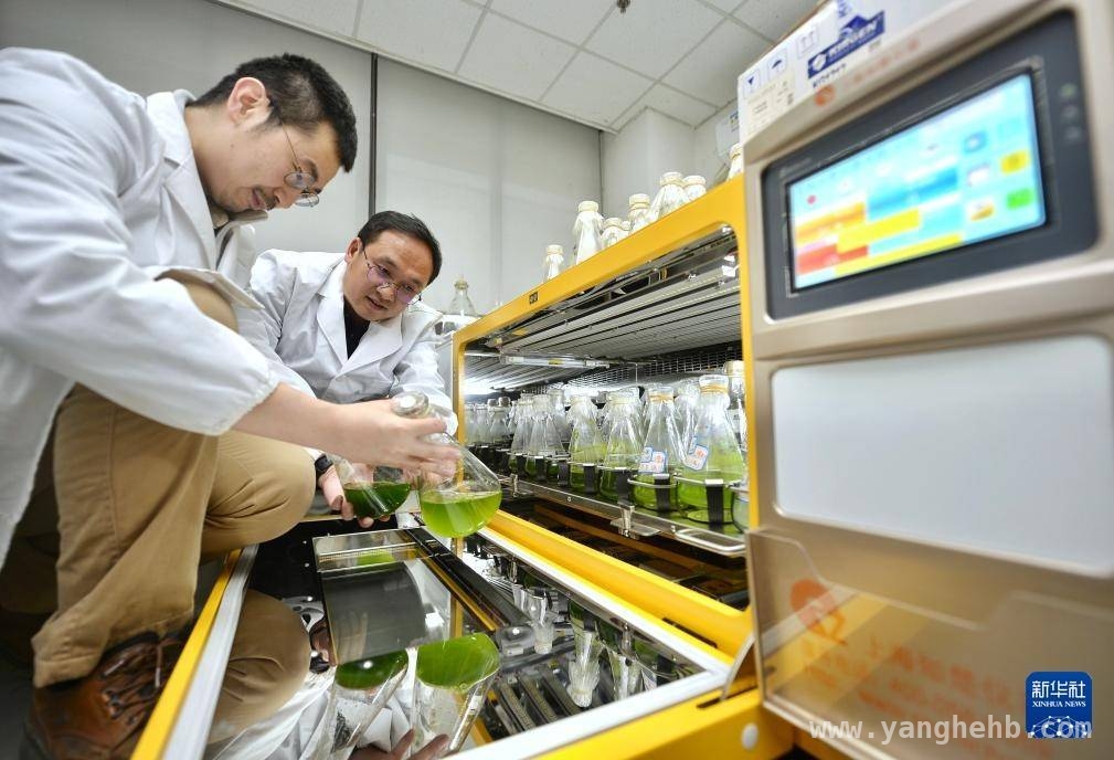 合成微生物组团队：污水资源化科研背后的精彩瞬间
