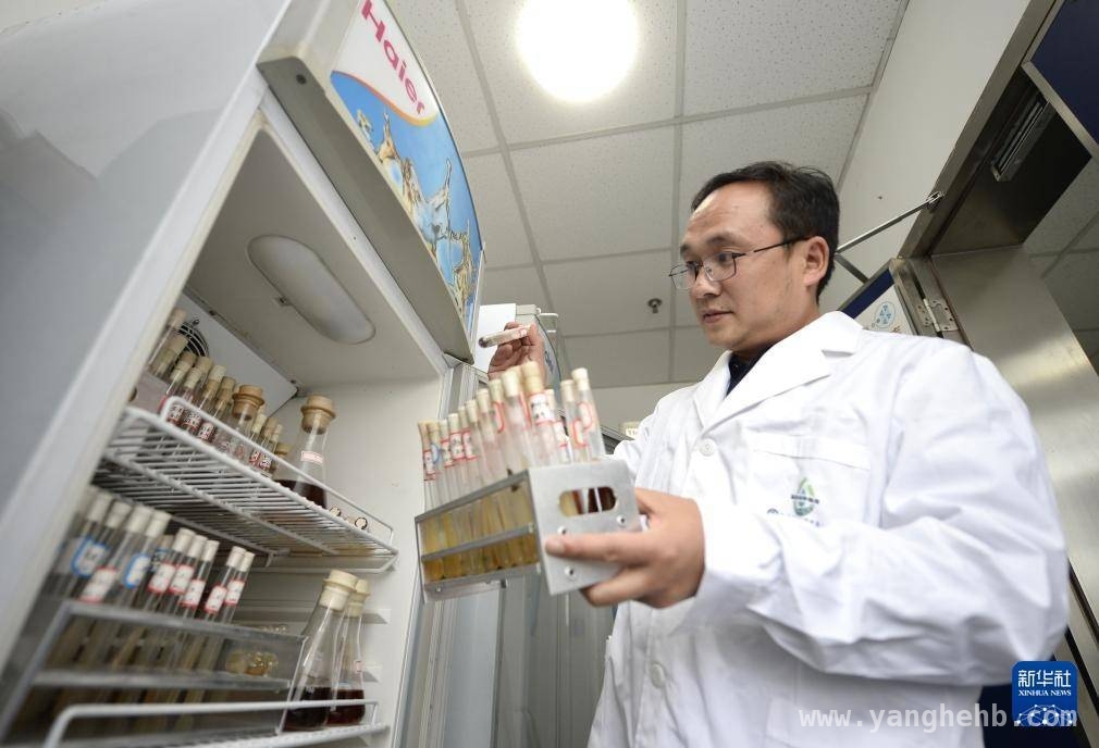 合成微生物组团队：污水资源化科研背后的精彩瞬间
