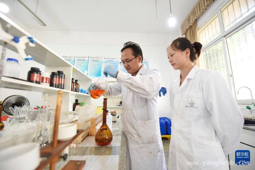 合成微生物组团队：污水资源化科研背后的精彩瞬间