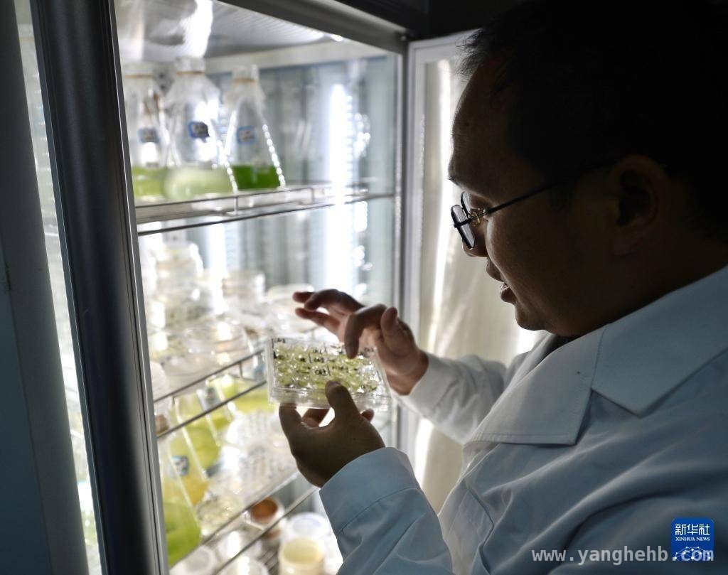合成微生物组团队：污水资源化科研背后的精彩瞬间