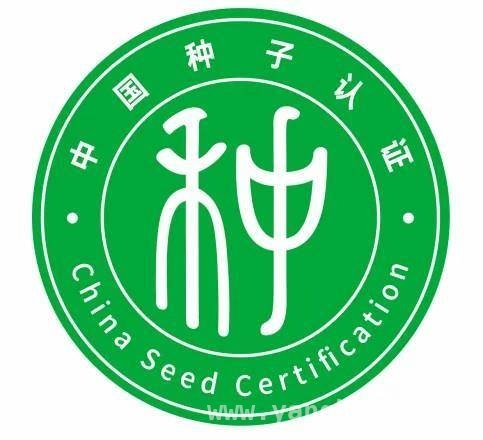 种子认证“开花结果”，为种业高质量发展添动力，种子认证落地，我国种业迈向高质量发展新征程