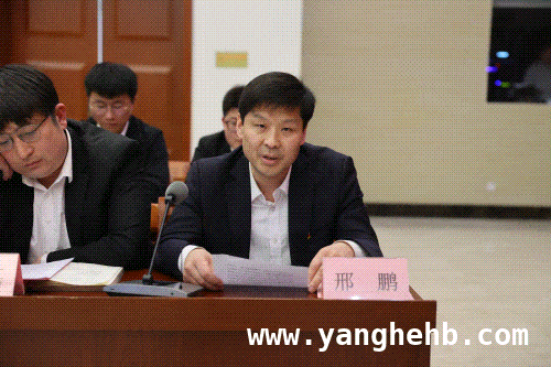 岱庄煤业青年交流：鼓励“容错”，共绘发展蓝图