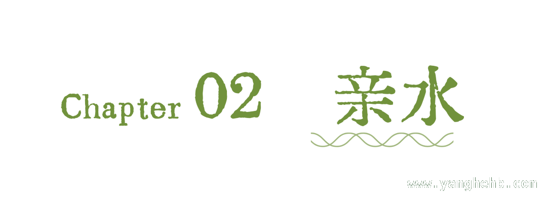 漫步环西丽湖碧道，感受生物诗意栖居之美 探秘环西丽湖绿道：自然与人文的绝美邂逅