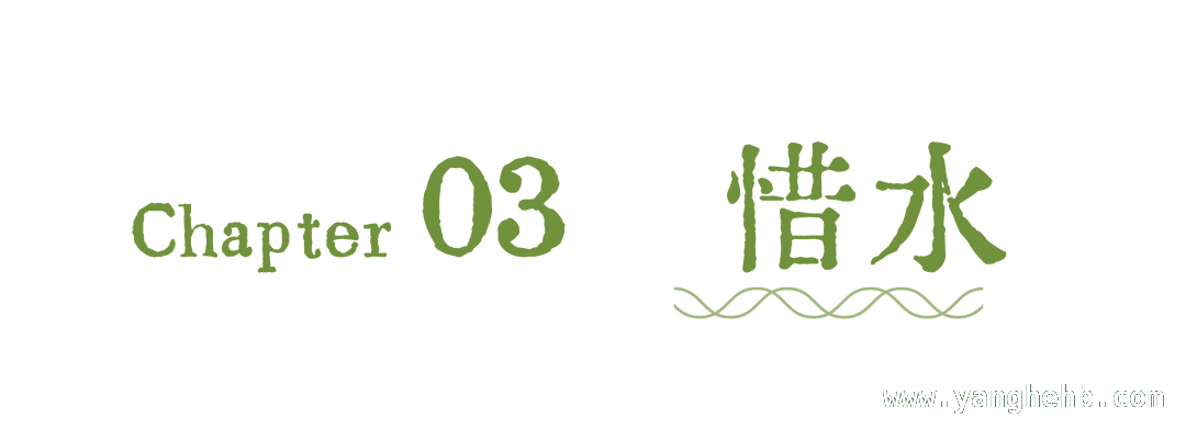 漫步环西丽湖碧道，感受生物诗意栖居之美 探秘环西丽湖绿道：自然与人文的绝美邂逅