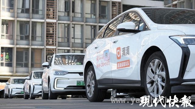 2025无锡赏樱季：滴滴文旅保障车队开启出行新体验，滴滴助力无锡旅游：赏樱季优惠与保障并行