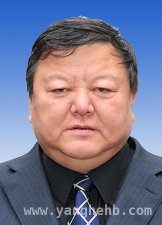 66岁前纪委组长王会民被查，同日纪委“内鬼”龙飞受审，退休近6年，王会民涉嫌严重违纪违法接受审查，同日龙飞受审