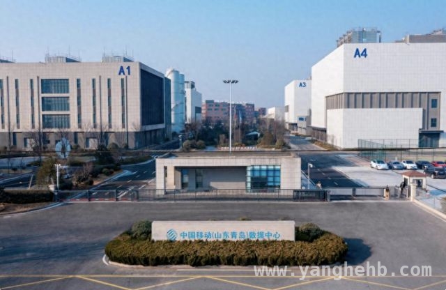 青岛移动发力数智领域，推动高质量发展新格局