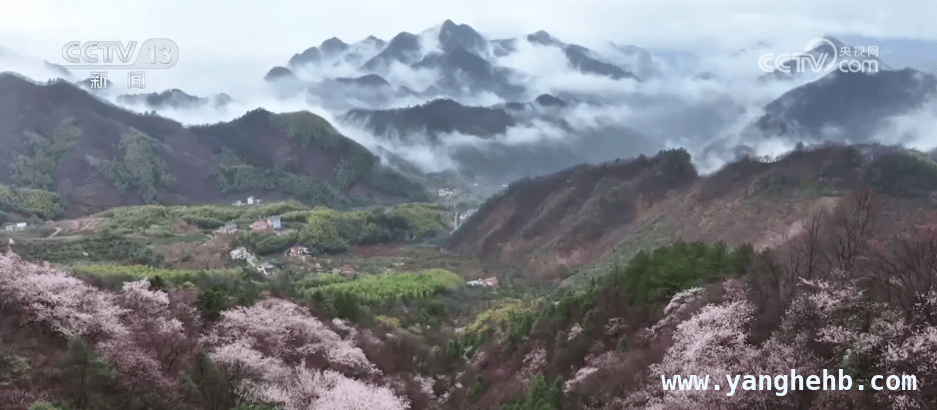跟着这篇报道，开启春日赏花之旅：从杭州到安徽再到山东 探秘杭州太子湾：流动花廊与特色郁金香的春日之约
