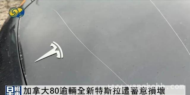 特朗普、普京等行动背后，国际局势如何演变