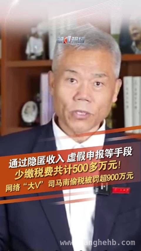 司马南偷税引热议，胡锡进呼吁严管高收入逃税，胡锡进谈司马南偷税：望其改过，社会严治逃税