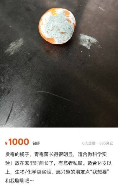 惊！发霉橘子竟被高价售卖，背后原因几何？，二手平台现发霉橘子售卖，是商机还是噱头？