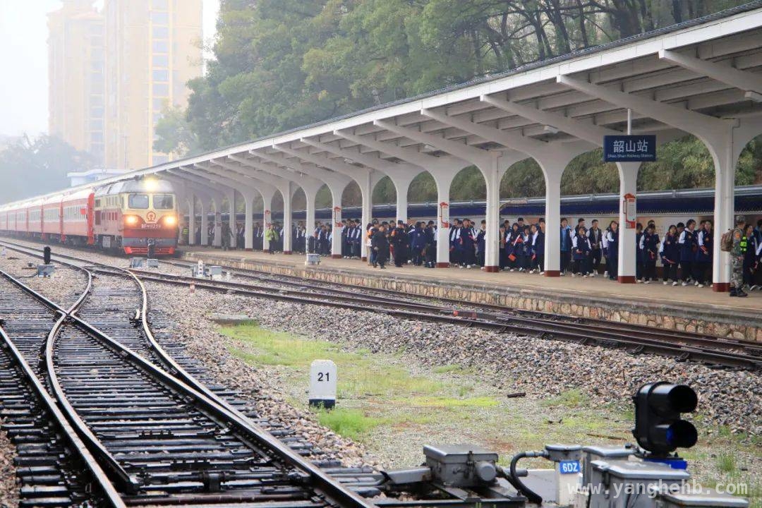 “韶山号”红色研学列车：为学子打造沉浸式红色学习体验，搭乘“韶山号”，学子踏上重温红色岁月的研学之旅