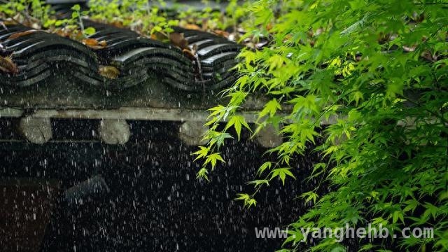春雷唤醒岁月，拼搏正当其时