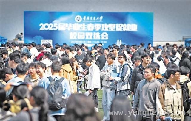 重庆高校春招现新景，新材料等领域用人需求猛增 跨校求职成常态，重庆高校春招折射大学生就业新心态