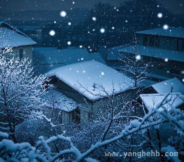 糖酒会“降温”，白酒价格跳水，三重因素成幕后推手！ 剩者为王：白酒行业寒冬下的生存密码