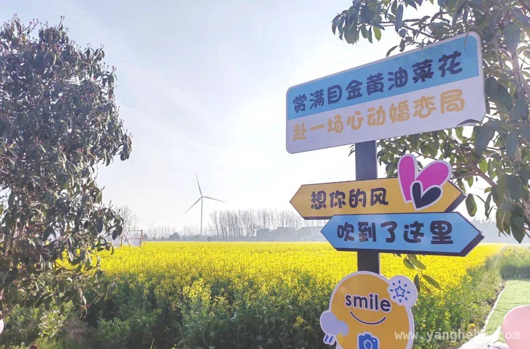 3. 多祥镇油菜花海浪漫约会，单身青年寻爱正当时！，2. 春日邂逅，多祥镇油菜花海开启单身青年心动之旅！