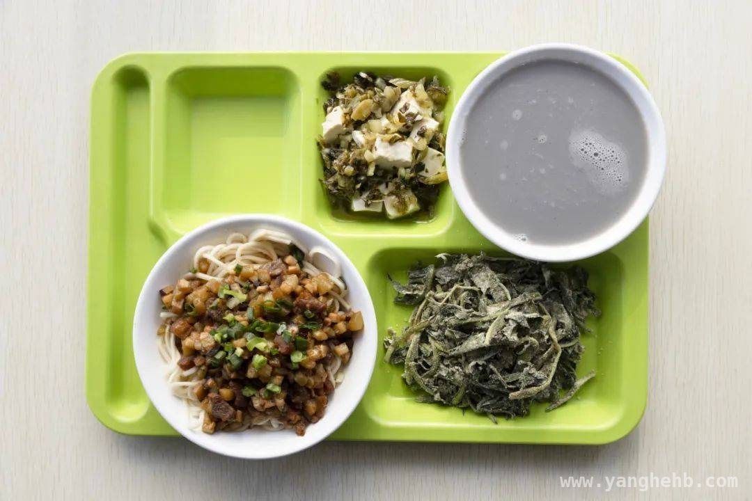 从264斤到160斤，北科博士的减肥之路 抓住春季减肥黄金期，跟着国家指南动起来