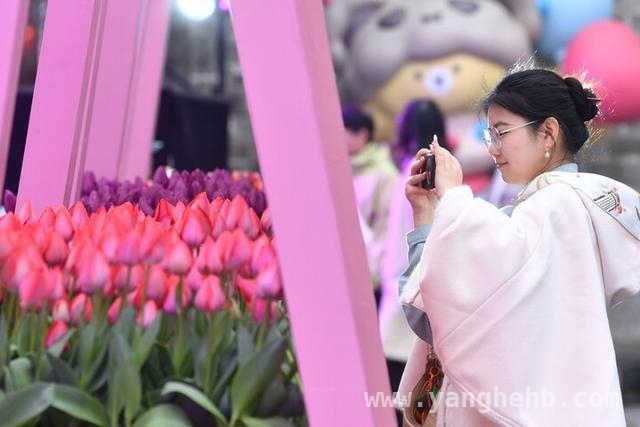 多省提振消费行动，激活经济“主引擎” 多省出台方案，消费市场焕发生机