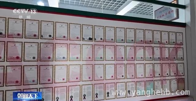 民营经济崛起：区域政策与优惠助力腾飞