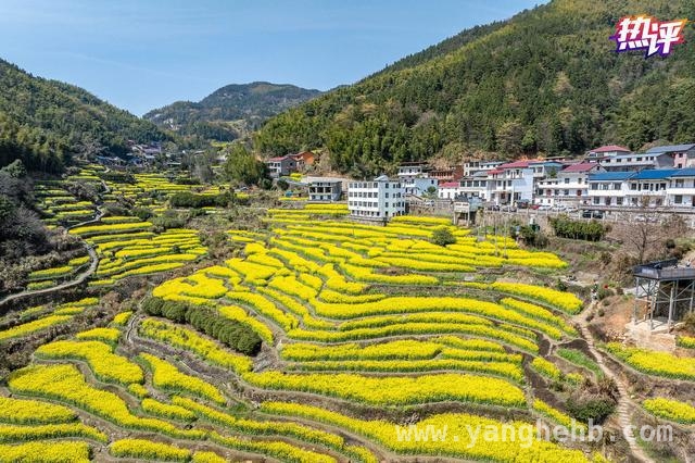 肇兴侗寨走红，看乡村文旅融合的魅力与潜力 贵州肇兴侗寨：乡村文旅融合的璀璨明珠