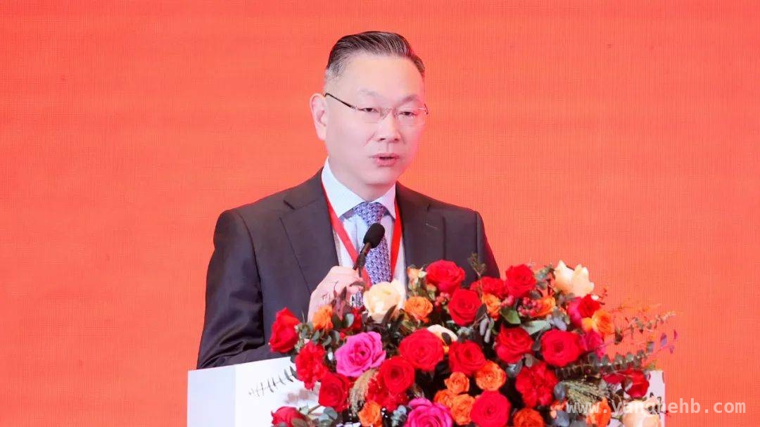 第十三届西北主动脉疾病学术大会：推动诊疗技术进步