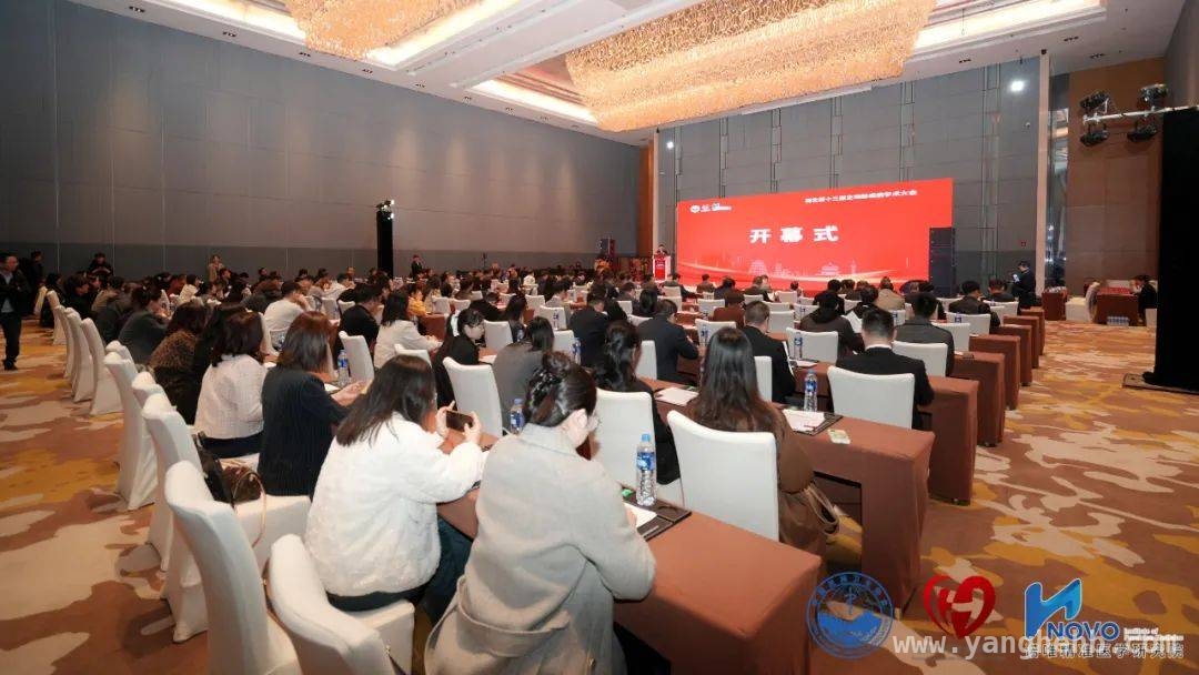 第十三届西北主动脉疾病学术大会：推动诊疗技术进步