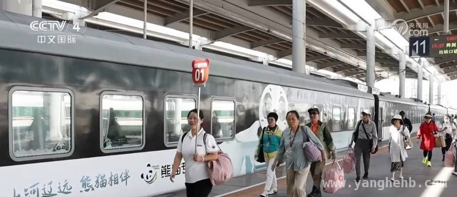 聚焦服务消费：政策驱动与新职业的双重引擎