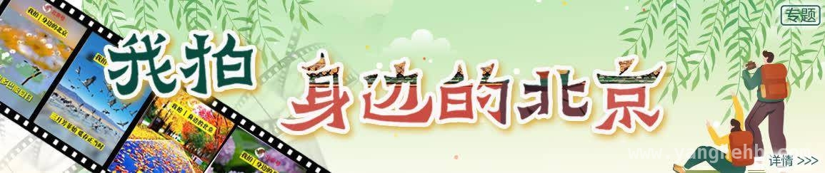 北京春日全攻略：赏花、游玩、赛事一网打尽 解锁北京春日新玩法，开启多元体验之旅