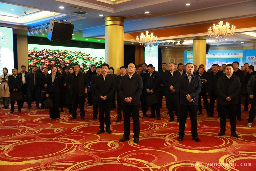 现场会落幕后，呼伦贝尔草原变革正当时 从现场会看呼伦贝尔草原生态与畜牧业的绿色蝶变