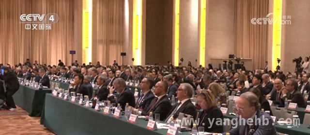 2025中国发展高层论坛：国际企业看好中国市场前景 中国发展高层论坛2025：跨国企业齐聚，共探中国投资新机遇
