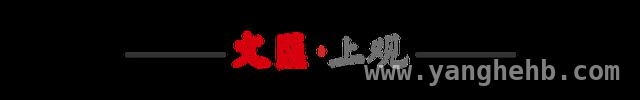 RISC - V：从开源指令集到AI算力变革先锋