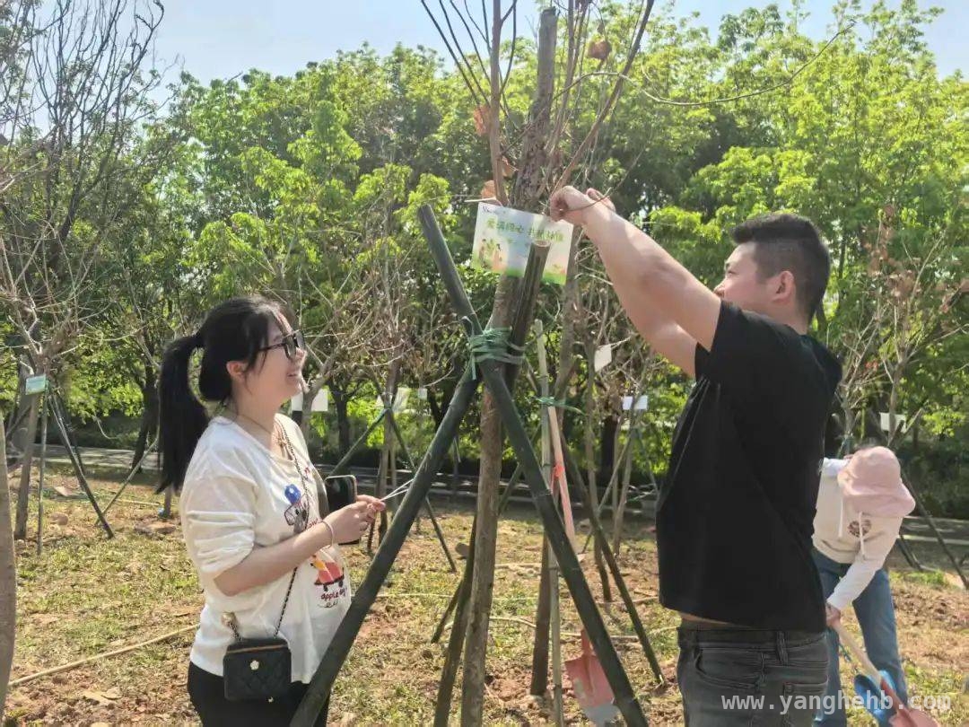 松山湖婚俗植树活动：种下爱情树，共赴绿色未来，松山湖婚俗植树活动：打造特色爱情纪念