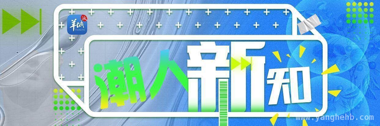 大米的真相：品质提升与口感选择，优质大米怎么选？这里有答案！