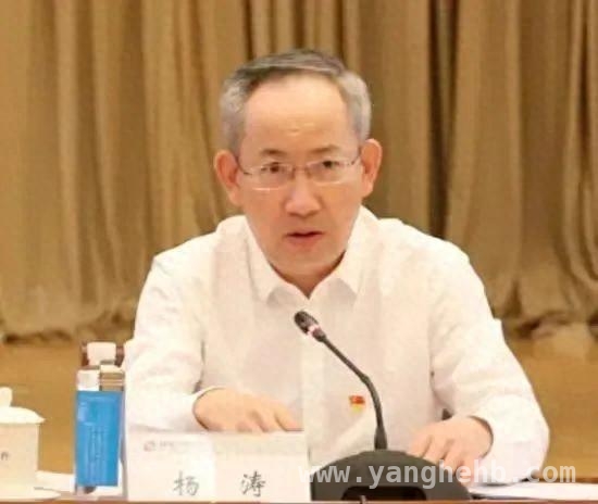 交行官宣：杨涛将加入管理层，任职资格待核准，杨涛有望出任交行副行长，丰富履历引关注