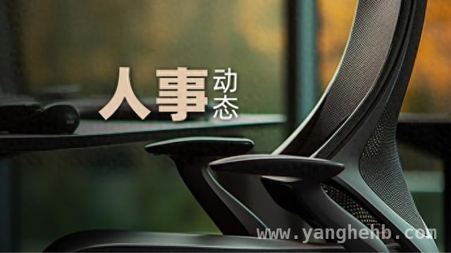 乌兹别克斯坦代表团到访辽宁，楚天运开启新履职征程