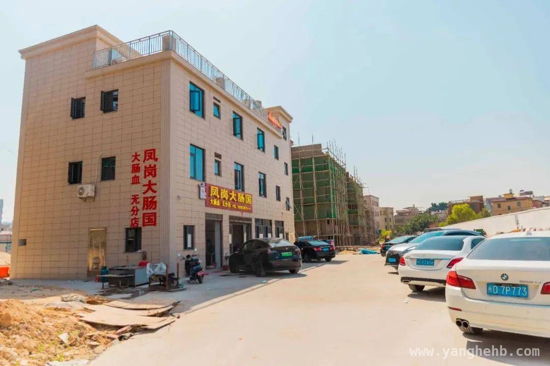 厦门同安老城区：千年古韵与美食江湖的完美邂逅