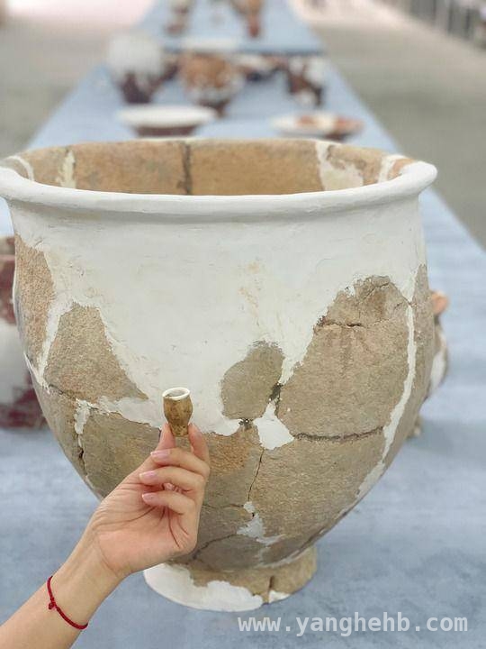 下汤遗址：穿越万年，感受新石器时代烟火 走进下汤遗址：见证中华农耕文明起源