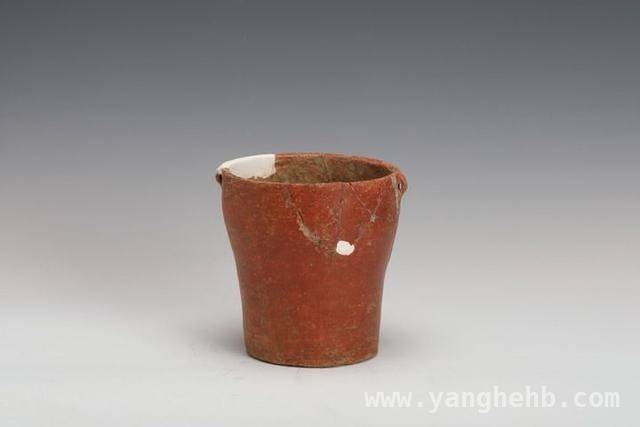 下汤遗址：穿越万年，感受新石器时代烟火 走进下汤遗址：见证中华农耕文明起源