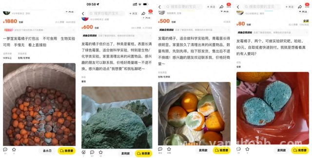 高价发霉橘子：网购实验耗材靠谱吗？