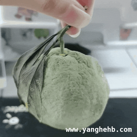 高价发霉橘子：网购实验耗材靠谱吗？