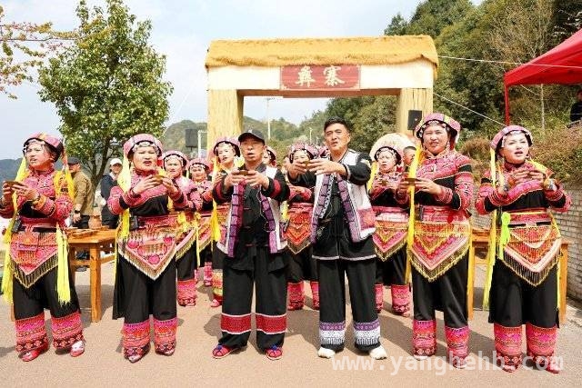 3月曲靖麒麟区东山：万亩高山杜鹃花开，旅游盛宴等您来