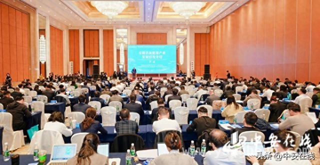 新能源浪潮下，2025徽商链接会见证安徽产业崛起