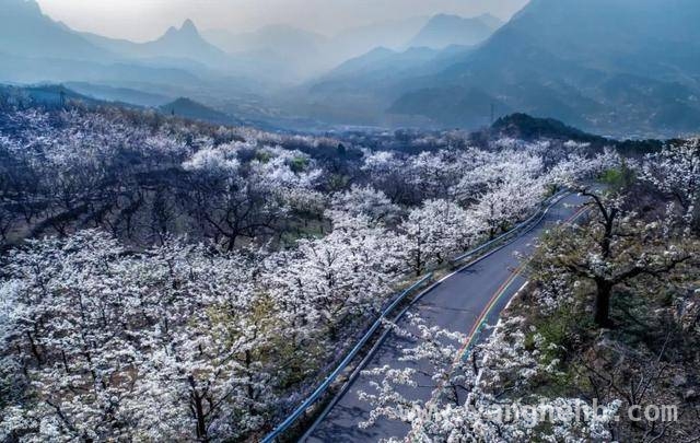 跟着指南走，领略平谷九大春景之美