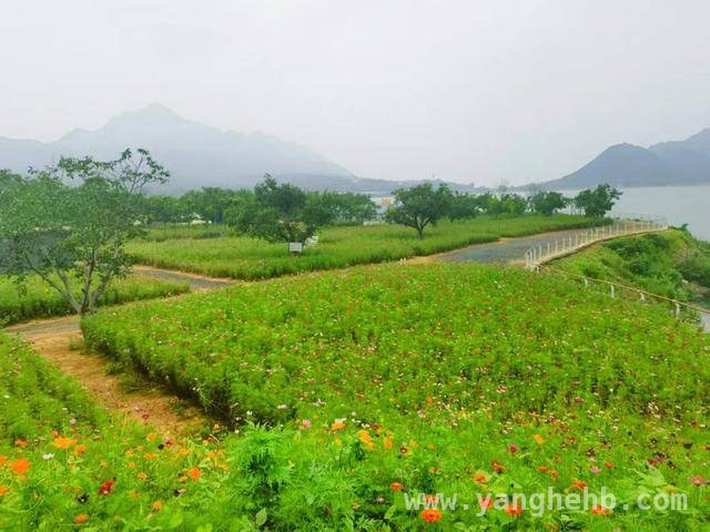 跟着指南走，领略平谷九大春景之美