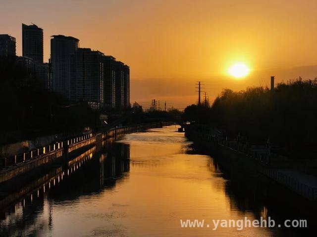 北京3月24日晨光开启，看摄影师定格的美好 3月24日北京晨光：用镜头捕捉的诗意瞬间
