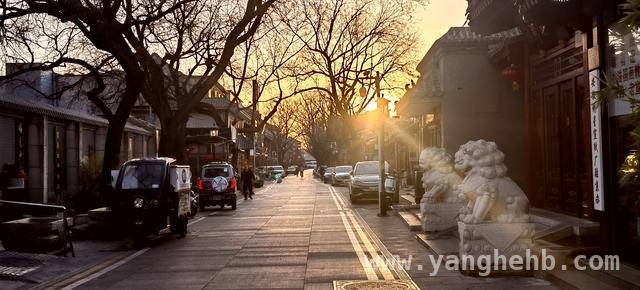 北京3月24日晨光开启，看摄影师定格的美好 3月24日北京晨光：用镜头捕捉的诗意瞬间