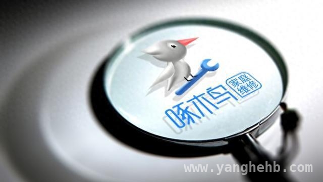 啄木鸟“整改进展”成谜，消费者信任岌岌可危！，啄木鸟整改失约，诚信危机凸显？