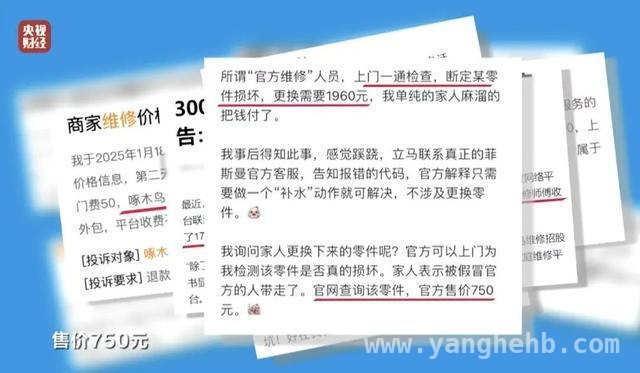 啄木鸟“整改进展”成谜，消费者信任岌岌可危！，啄木鸟整改失约，诚信危机凸显？