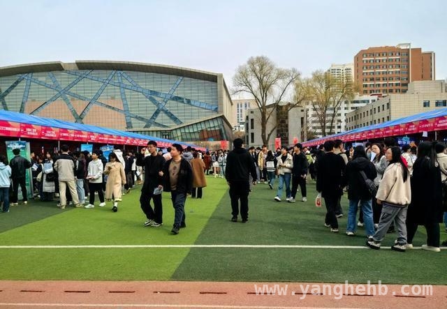 2025春招：毕业生就业市场的变革之路 聚焦春招：毕业生就业市场的新变化全揭秘