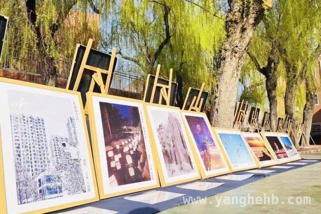 从附小摄影展看少年对生活的热爱